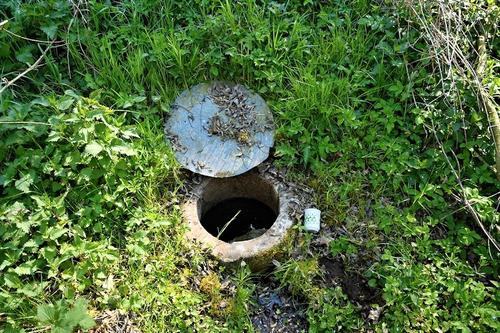 02_Studánka