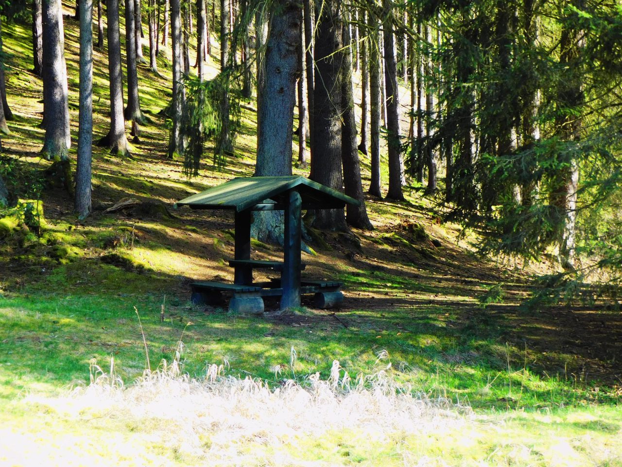 03_Odpočívadlo_u_studánky