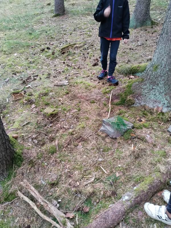 250707_Skritce_v_lese_02