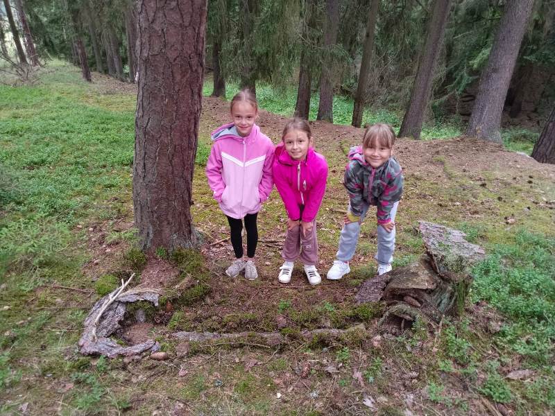 250707_Skritce_v_lese_03