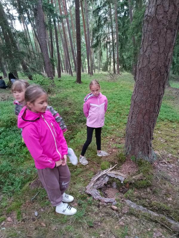 250707_Skritce_v_lese_04