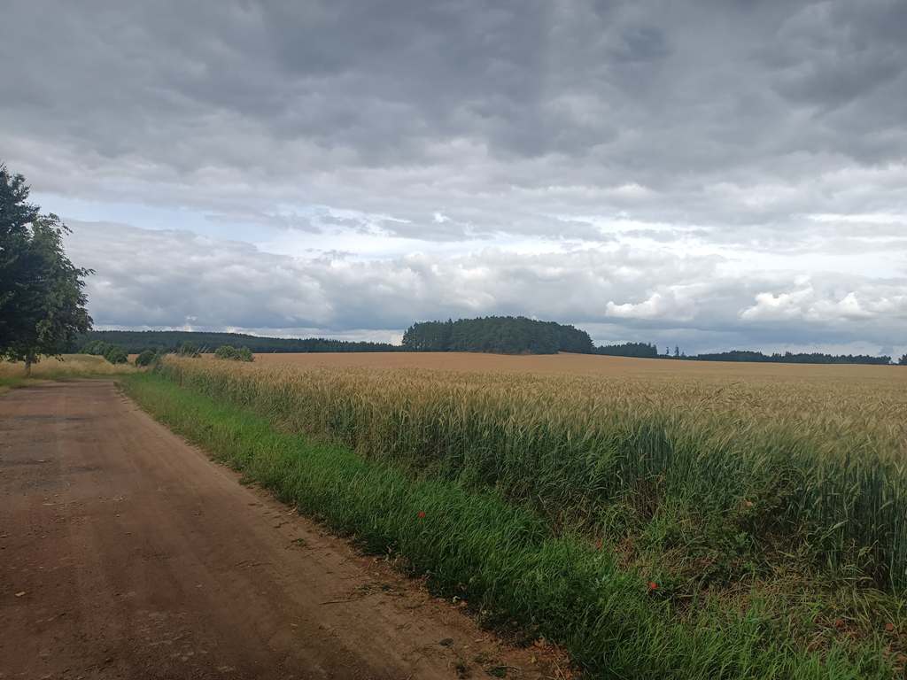 250708_Vylet_Olbramov_13