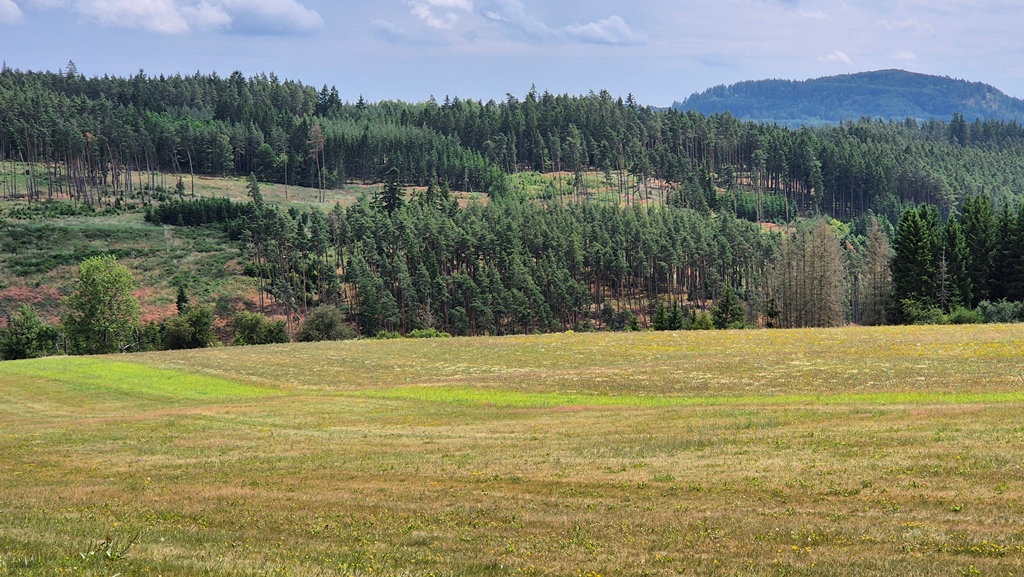 250713_Orientak_1