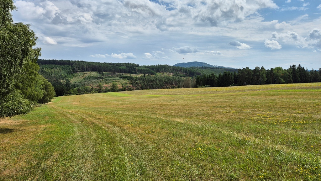 250713_Orientak_2