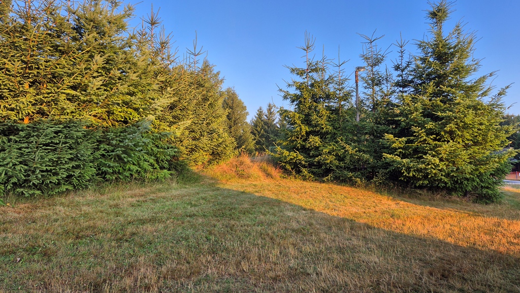 250719_Krasne_rano_07