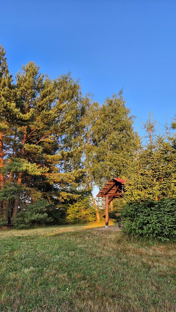 250719_Krasne_rano_09