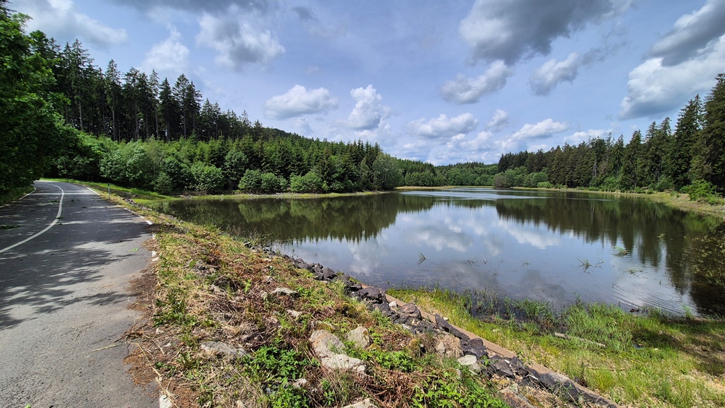 260605_Vidzin_small_10