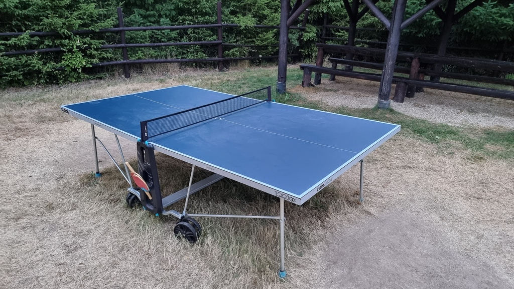 260615_ping_pong_04