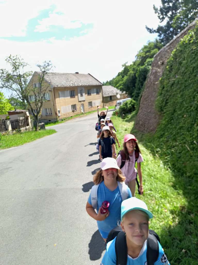 260707_Domecky_V_lese_12