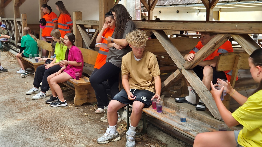 260707_Laborator_17