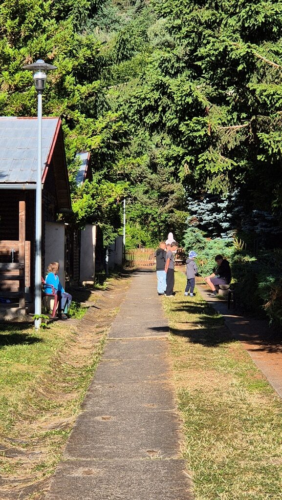 260709_Dobre_rano_03