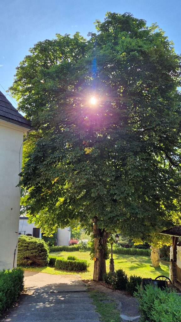 260709_Dobre_rano_06
