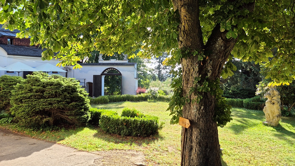260709_Dobre_rano_07