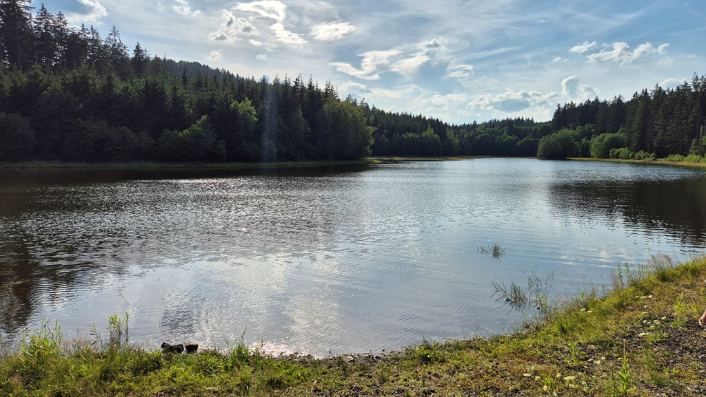 260713_Roury_09